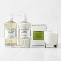 Williams Sonoma Cucumber Blossom Hand Soap