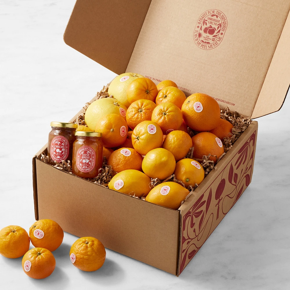 Winter Harvest Assorted Citrus Gift Crate