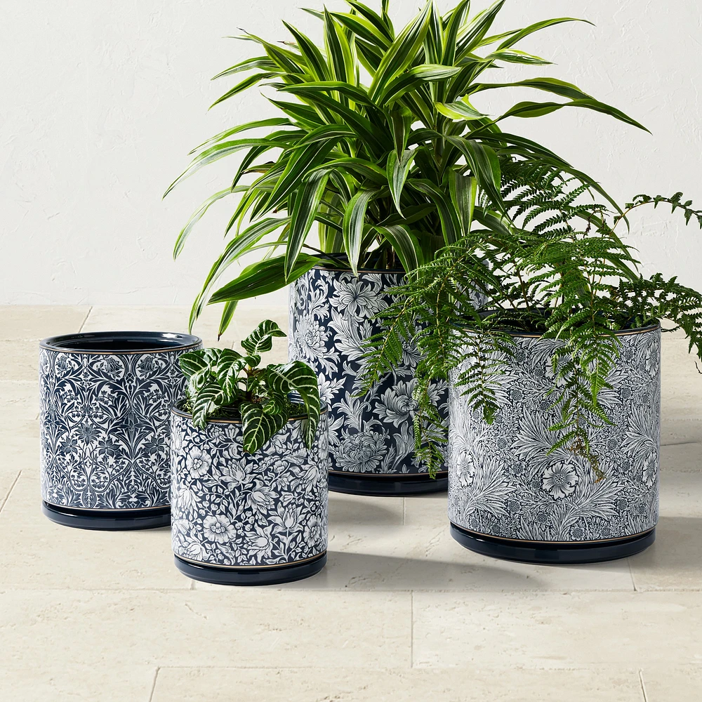 Morris & Co. x Williams Sonoma Ceramic Planter Collection