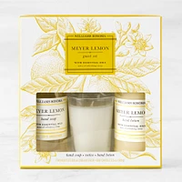 Williams Sonoma Meyer Lemon Guest Set