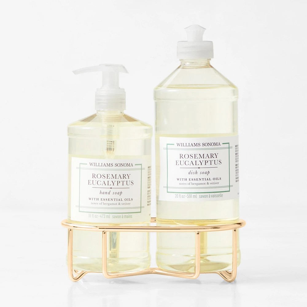 Williams Sonoma Rosemary Eucalyptus Hand Soap & Dish 3-Piece Set