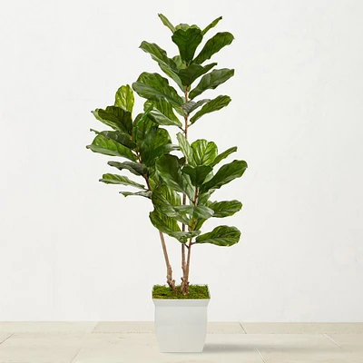 Faux Fiddle Leaf Tree in White Metal Planter, 66"