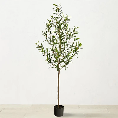 Faux Indoor Olive Tree, 72"