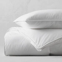 Primaloft Down Alternative Duvet and Pillow Insert