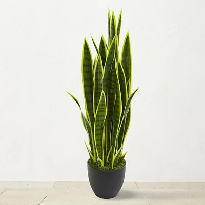 Faux Sansevieria Indoor Plant