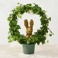 Easter Bunny in Circular Topiary