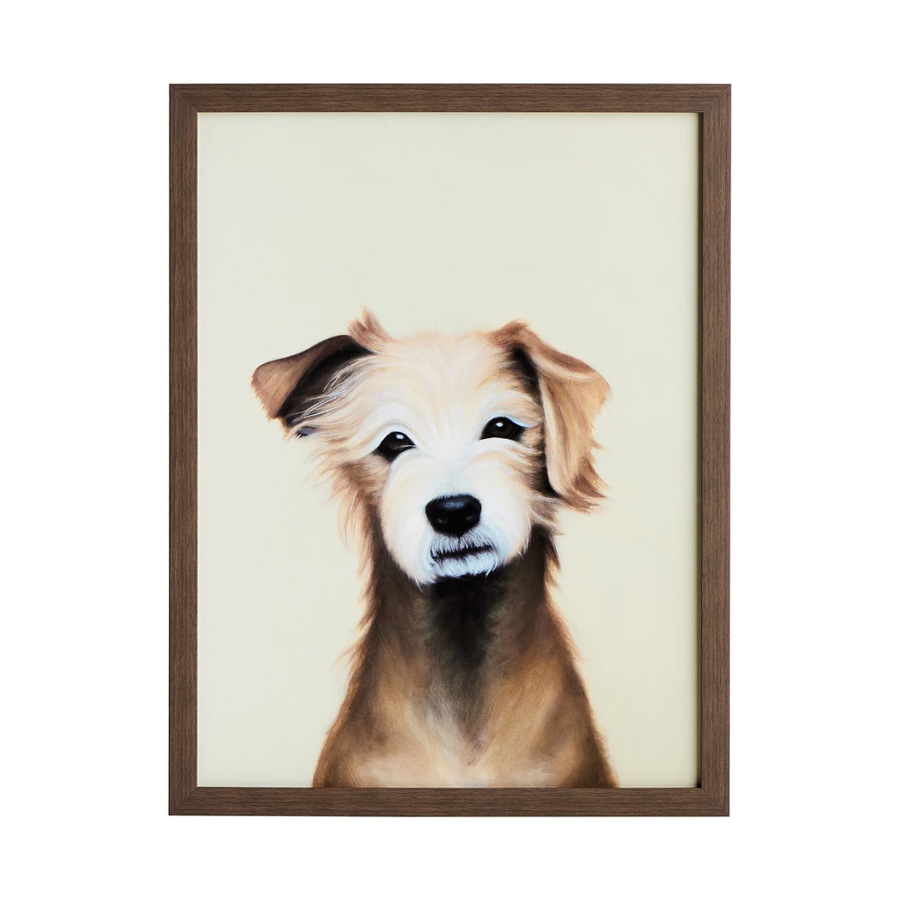 Limited Edition Dog Portrait I, Aardi