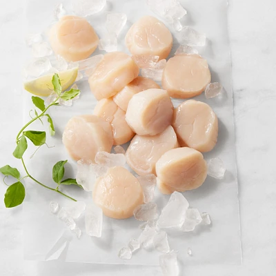 Fresh Hokkaido Sea Scallops, 1lb