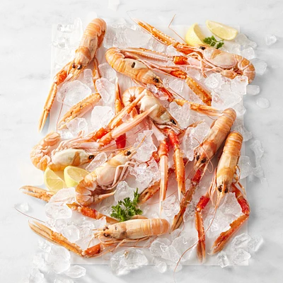 Extra-Large Langoustine