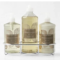 Williams Sonoma Spiced Chestnut Hand Soap, Dish Soap & Lotion 4-Piece Set