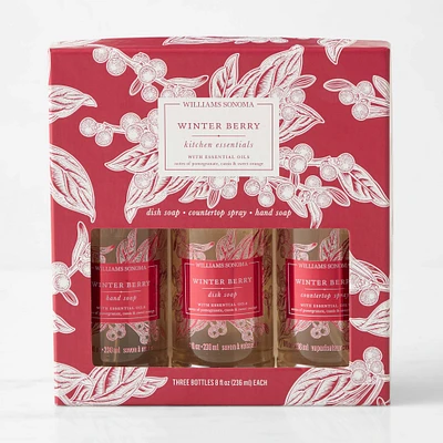 Williams Sonoma Winter Berry Kitchen Essentials Kit