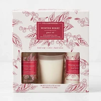 Williams Sonoma Winter Berry Guest Set