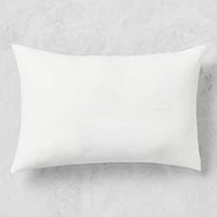 Outdoor Pillow Insert