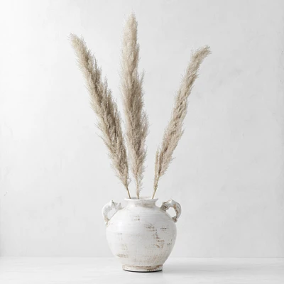 Dried Pampas Bunch, Set of 3