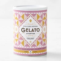 Williams Sonoma Gelato Starter