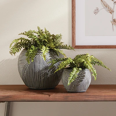 Faux Boston Fern Drop-In, 12"-16"