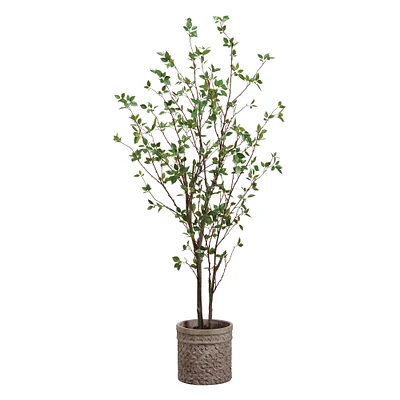 Faux Cornus Tree in Terracotta Planter, 6'