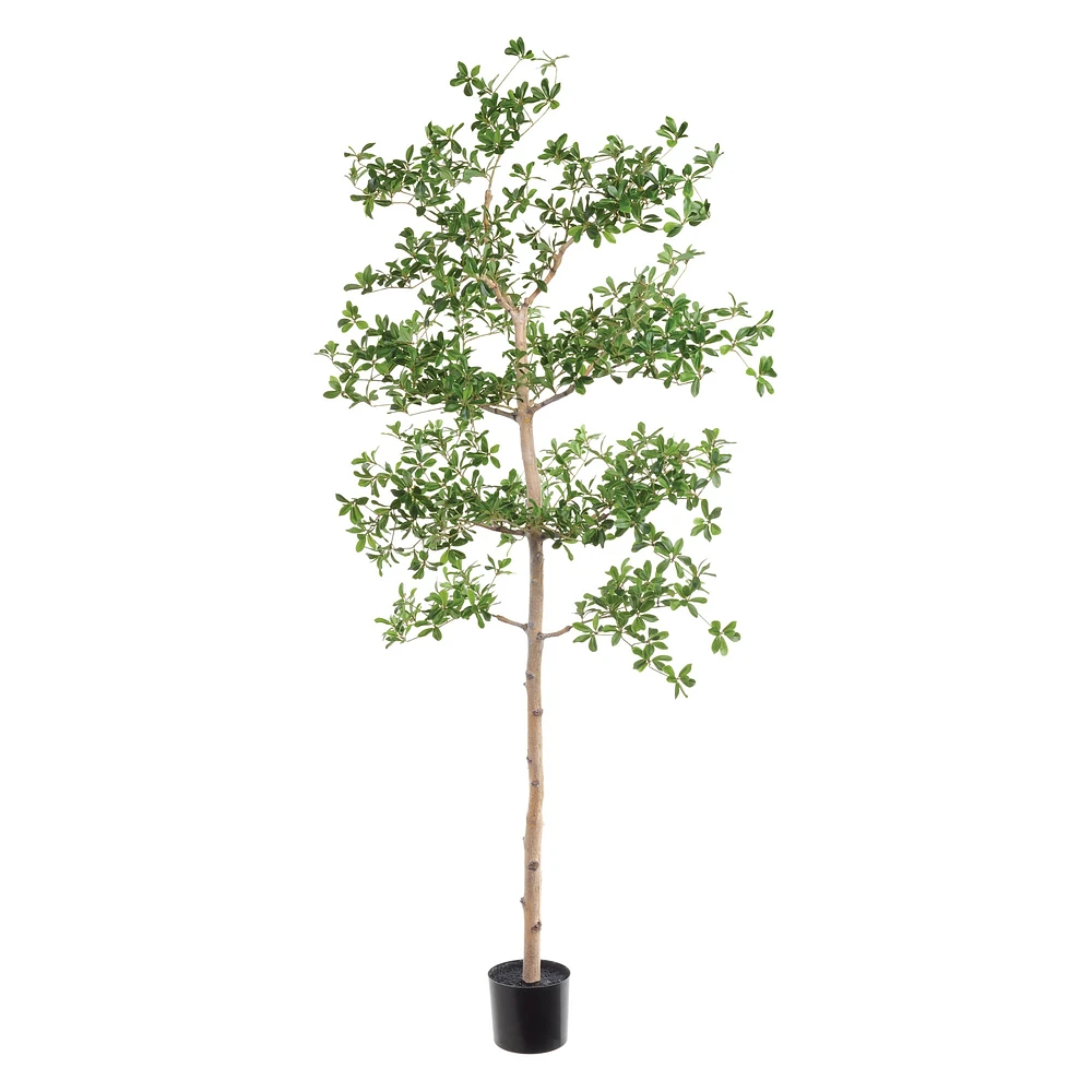 Faux Shady Lady Tree, 6'-9'