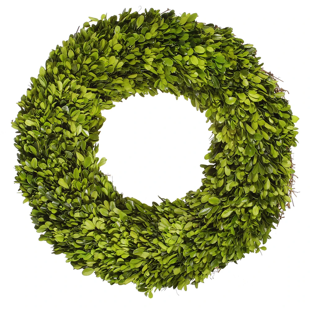 Boxwood Live Wreath, 20"