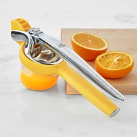 Williams Sonoma Citrus Press