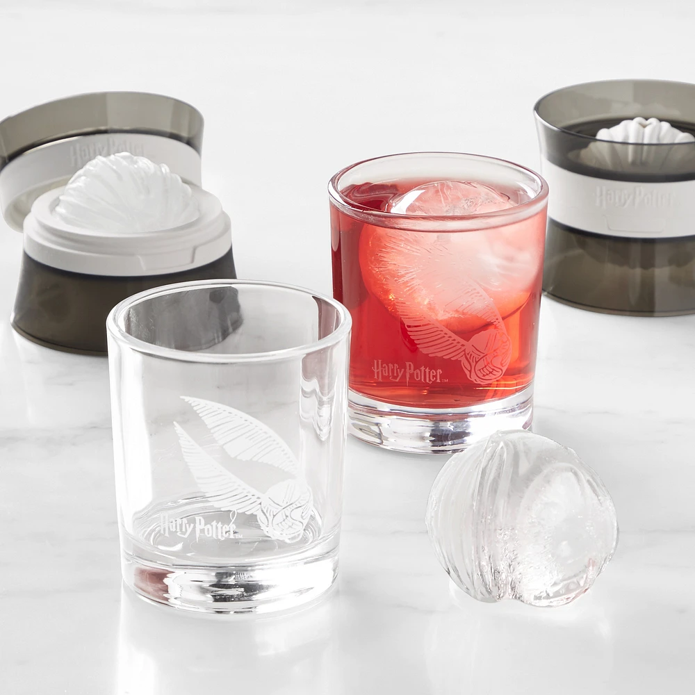 HARRY POTTER™ x Williams Sonoma Snitch Ice & Glass, Set of 2