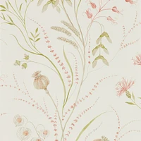 Sanderson Summer Harvest Wallpaper