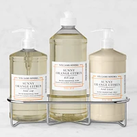 Williams Sonoma Sunny Orange Citrus Hand and Dish Soap & Lotion 4-Piece Kitchen Set