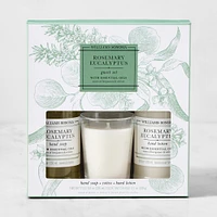 Williams Sonoma Rosemary Eucalyptus Guest Set