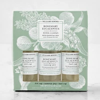 Williams Sonoma Rosemary Eucalyptus Kitchen Essentials Kit