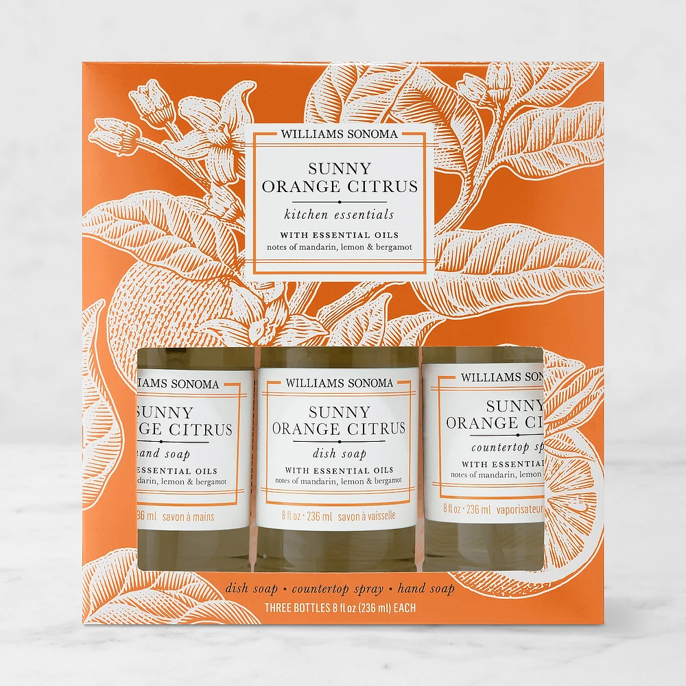 Williams Sonoma Sunny Orange Citrus Kitchen Essentials Kit