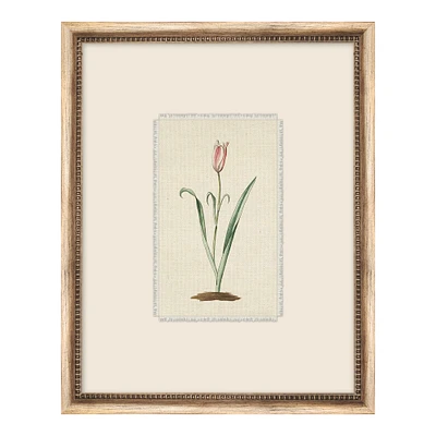 Botanist Textile