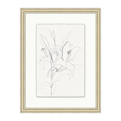 Floral Drawing
