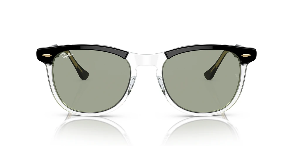 RB2398 Eagle Eye Transitions®