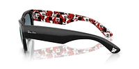 RB0840S Mega Wayfarer Disney Mickey & Minnie Mouse Deconstructed