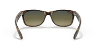 RB2132 New Wayfarer Classic