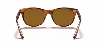 RB2185 Wayfarer II Classic