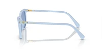 SK6004