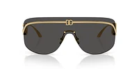DG2320