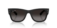 RB4840S Mega Wayfarer Liteforce