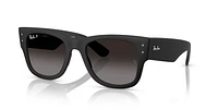 RB4840S Mega Wayfarer Liteforce