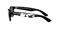 RB2132 New Wayfarer Mickey S20