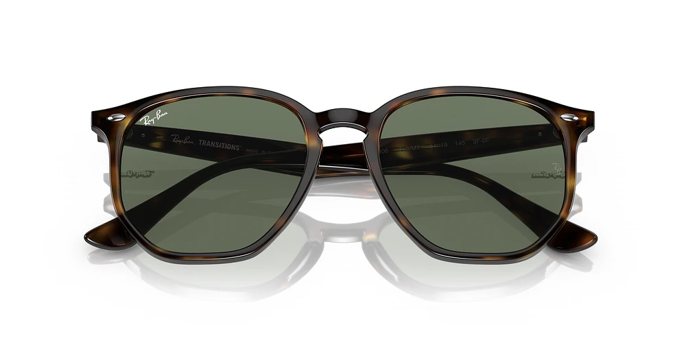RB4306 Transitions®
