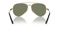 RB8225 Aviator II Titanium