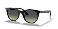 RB2185 Wayfarer II Classic