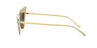 DG2254H