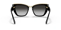 DG6144