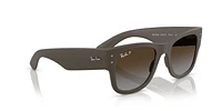 RB4840S Mega Wayfarer Liteforce