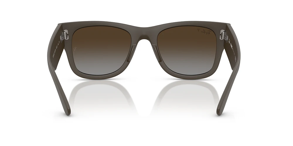 RB4840S Mega Wayfarer Liteforce