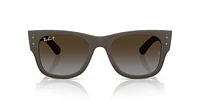 RB4840S Mega Wayfarer Liteforce