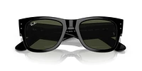 RB0840S Mega Wayfarer